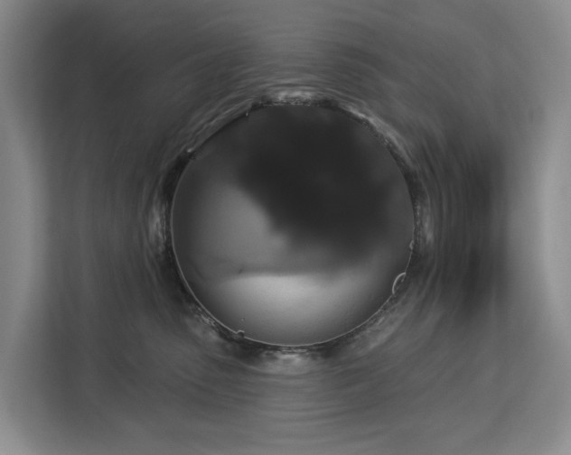 X0000113060475200908281138