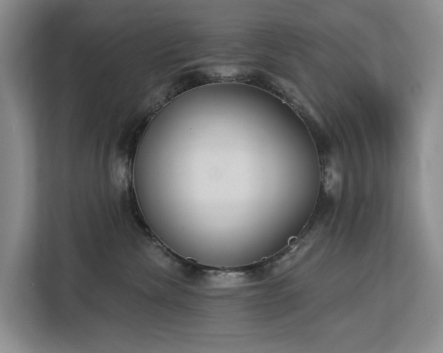 X0000113060476200908281138