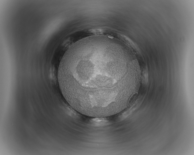 X0000113060477200908281138