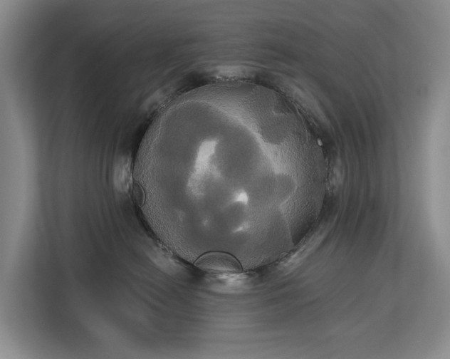 X0000113060478200908281138