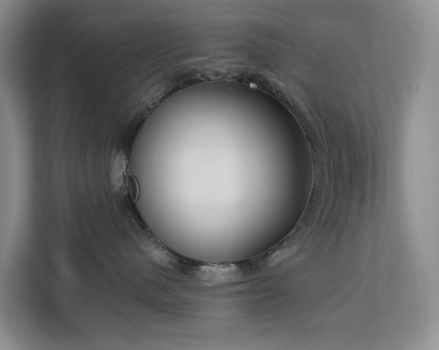 X0000113060480200908281138