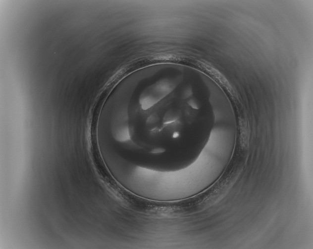 X0000113060482200908281137