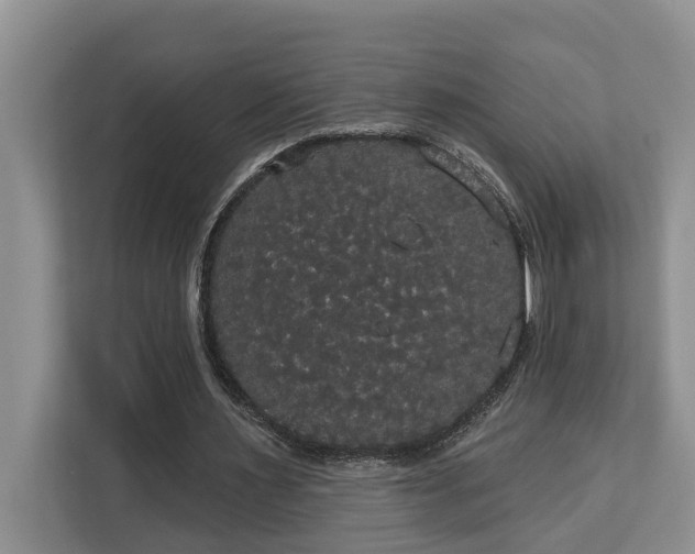 X0000113060483200908281137