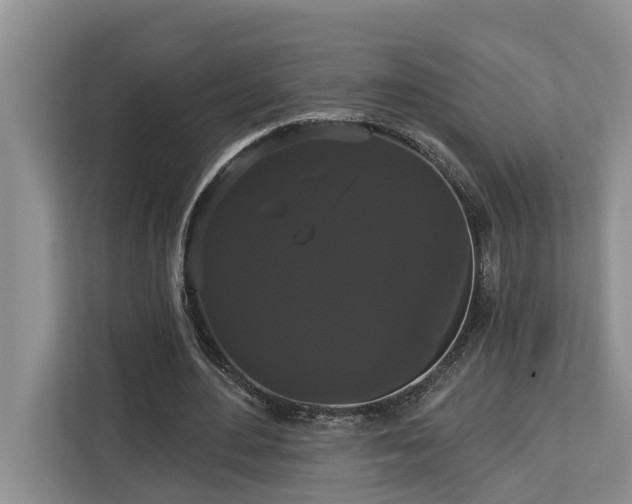 X0000113060484200908281137