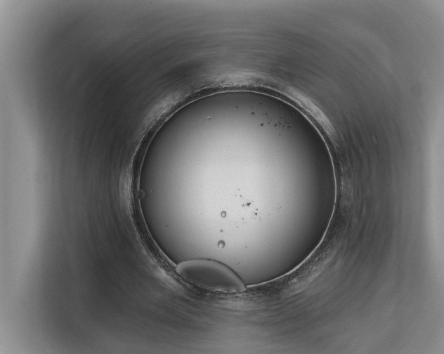 X0000113060485200908281137