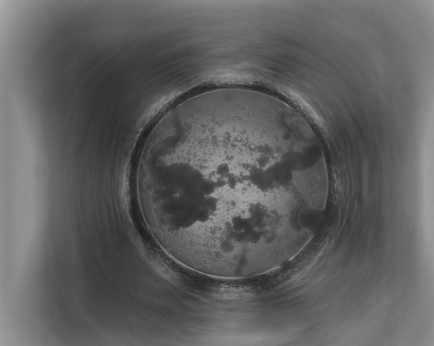 X0000113060487200908281137