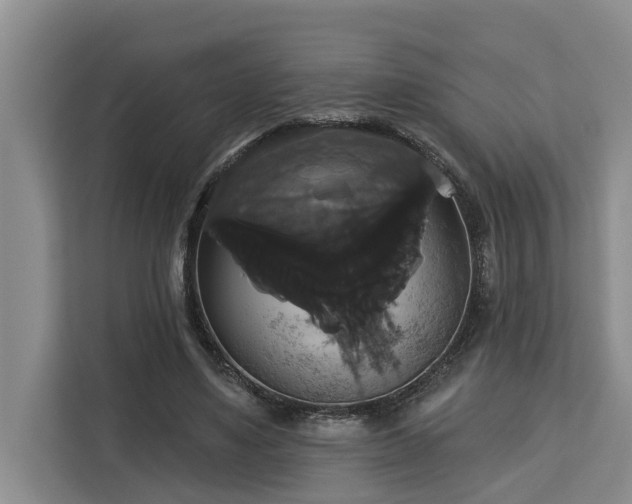 X0000113060491200908281137