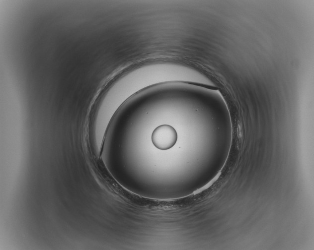 X0000113060492200908281137