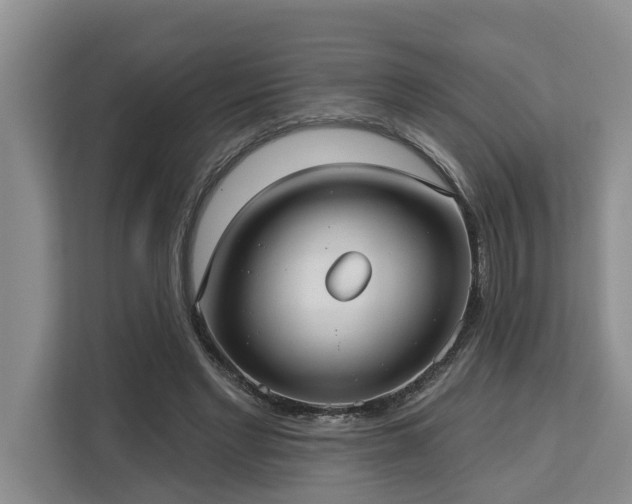 X0000113060493200908281137