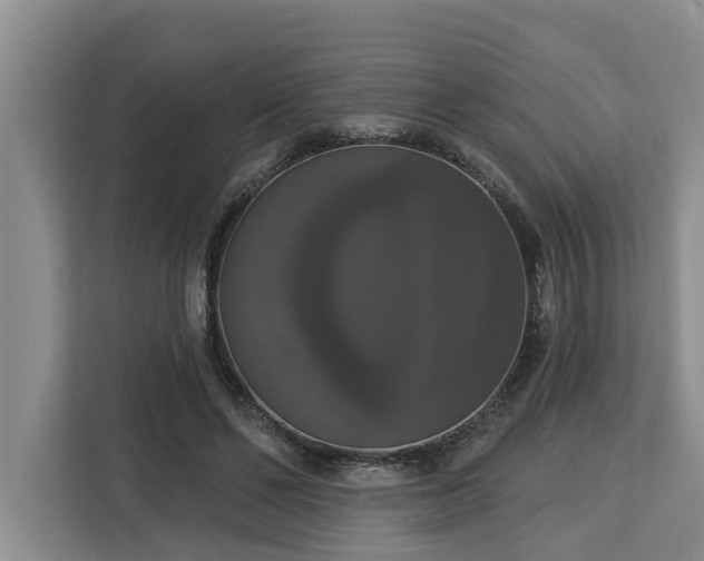 X0000113060494200908281137