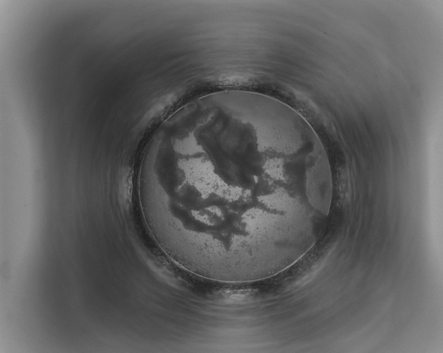 X0000113060495200908281137