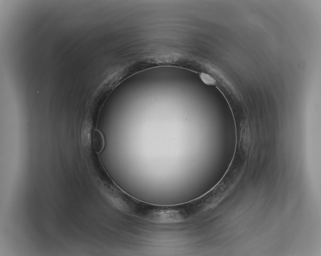 X0000113060501200908281137