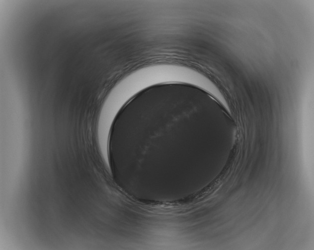X0000113060504200908281137