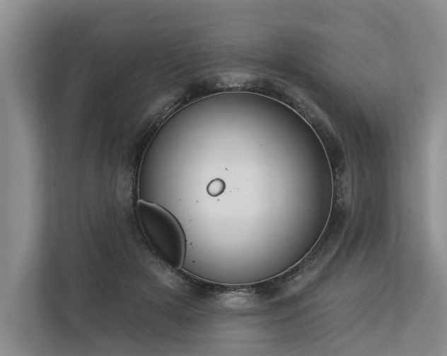 X0000113060505200908281137