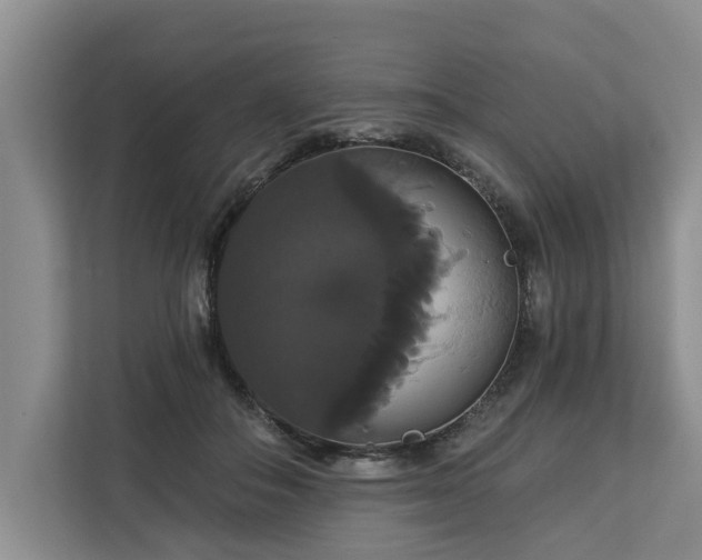 X0000113060506200908281137