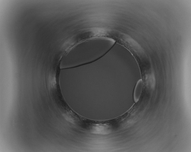 X0000113060508200908281137