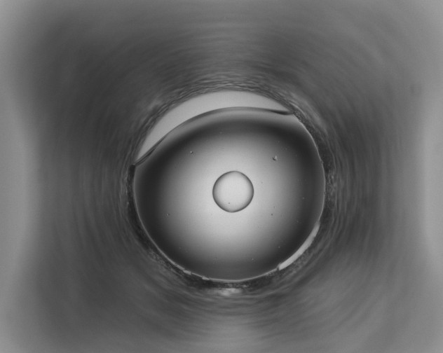 X0000113060509200908281137