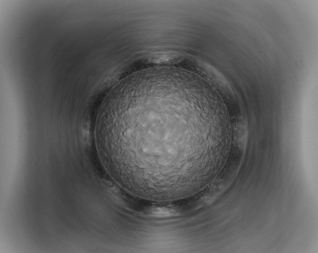 X0000113060510200908281137