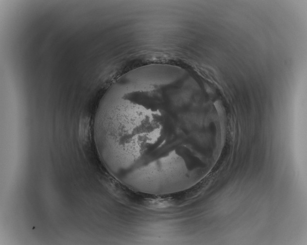 X0000113060511200908281137