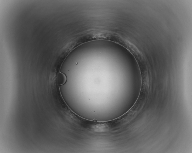 X0000113060513200908281137