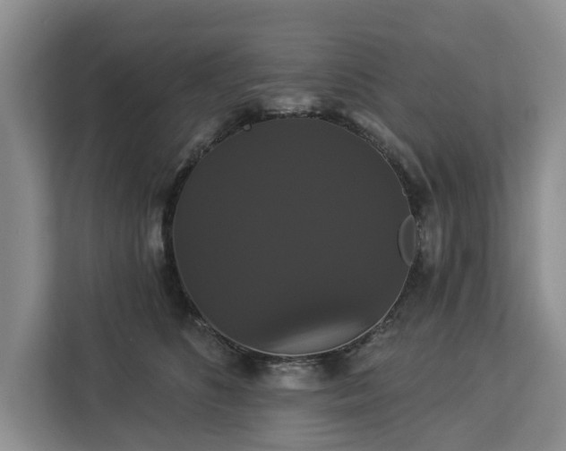 X0000113060516200908281137