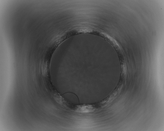 X0000113060517200908281137