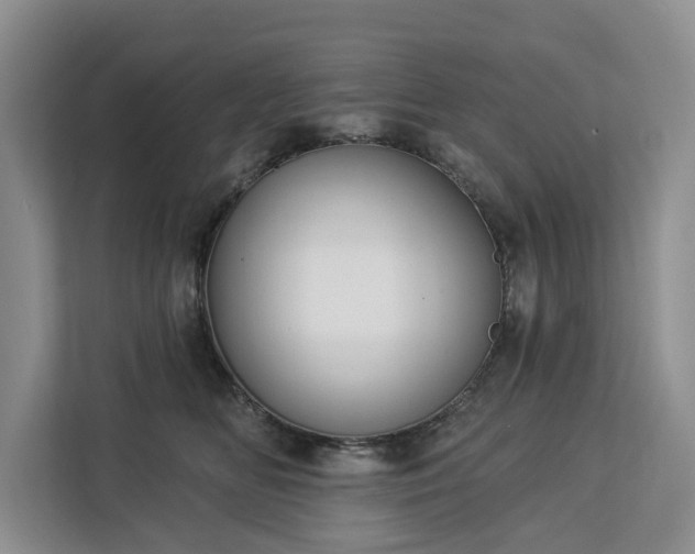 X0000113060518200908281137