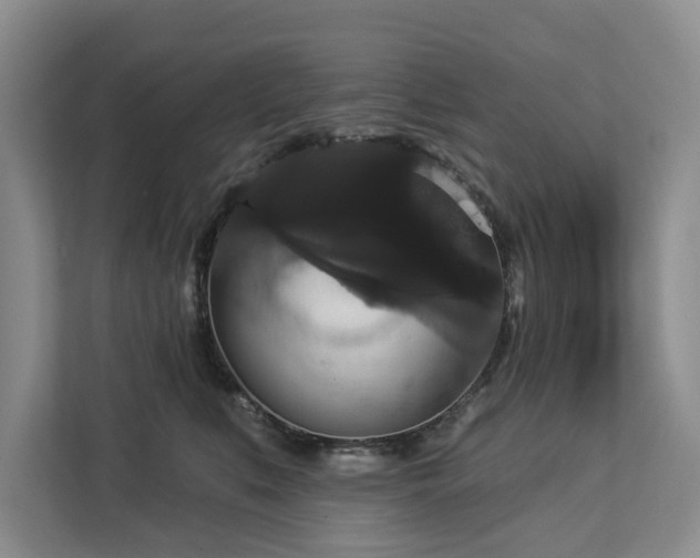 X0000113060519200908281137