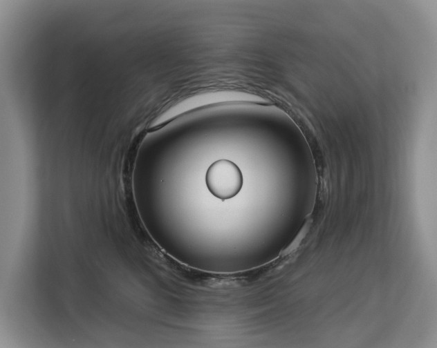 X0000113060520200908281137