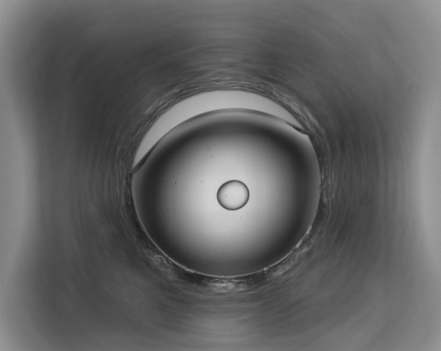X0000113060521200908281137