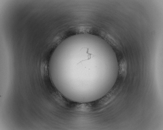 X0000113060522200908281137
