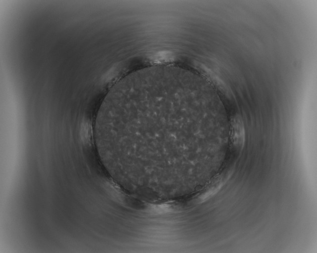 X0000113060523200908281137