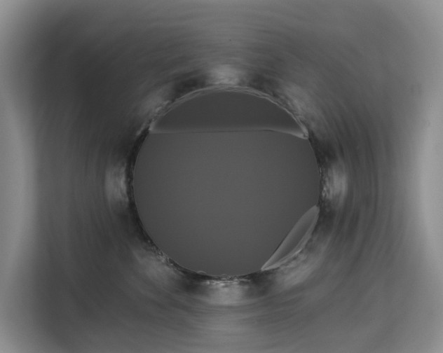 X0000113060524200908281137