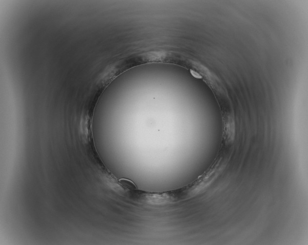X0000113060525200908281137