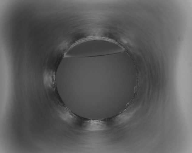 X0000113060528200908281137