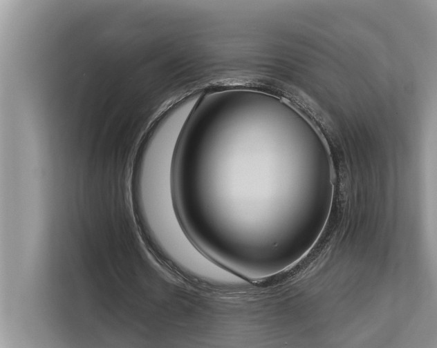 X0000113060530200908281136
