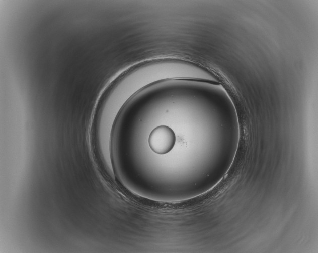 X0000113060532200908281136