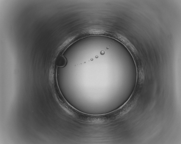 X0000113060533200908281136
