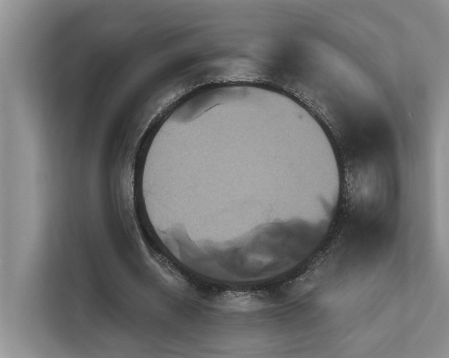 X0000113060534200908281136