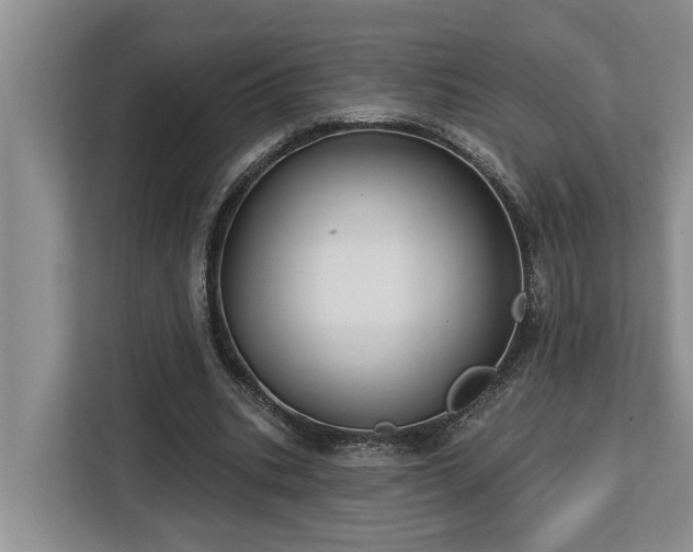 X0000113060535200908281136