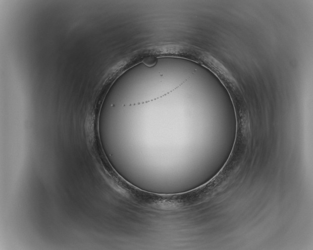 X0000113060537200908281136