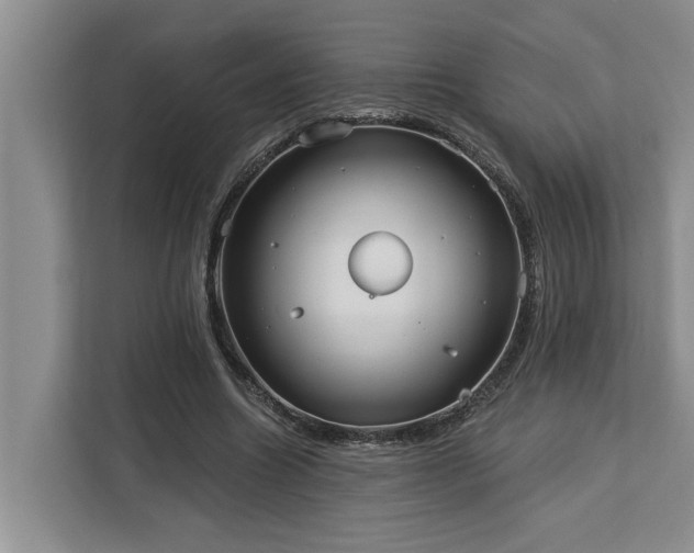X0000113060538200908281136