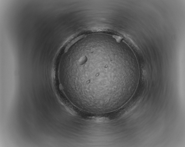 X0000113060539200908281136