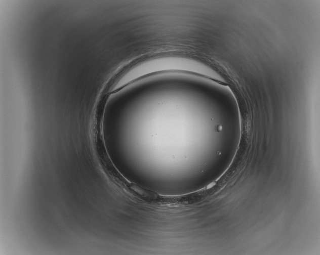 X0000113060540200908281136
