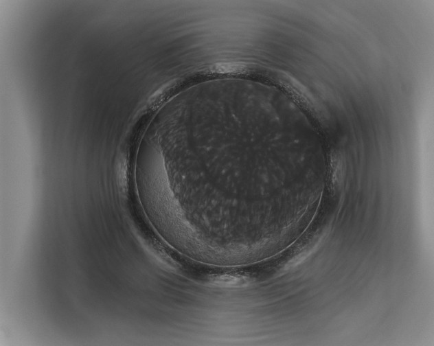 X0000113060542200908281136