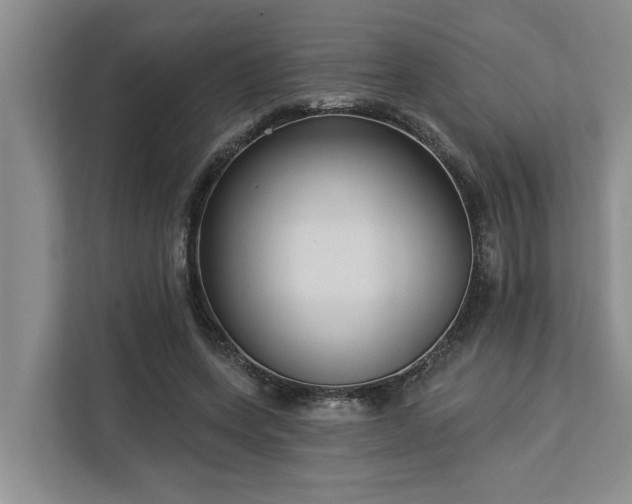 X0000113060543200908281136