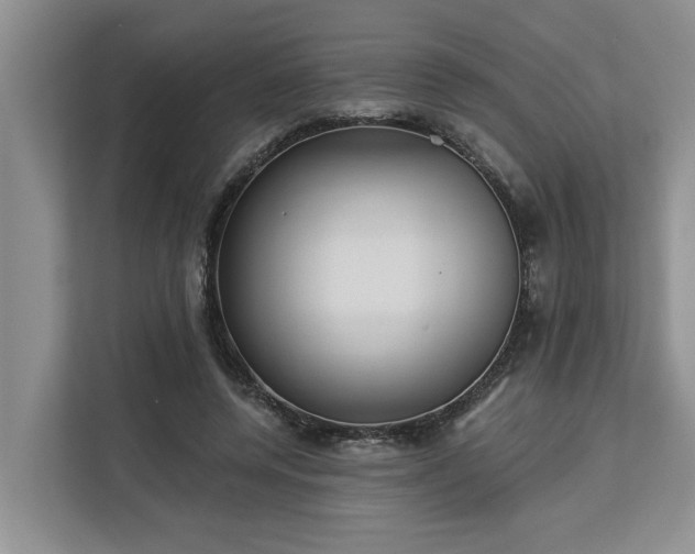 X0000113060544200908281136