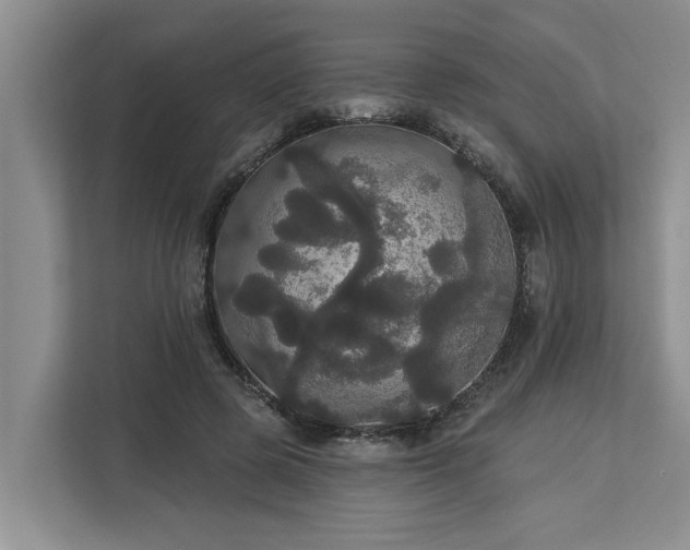 X0000113060545200908281136