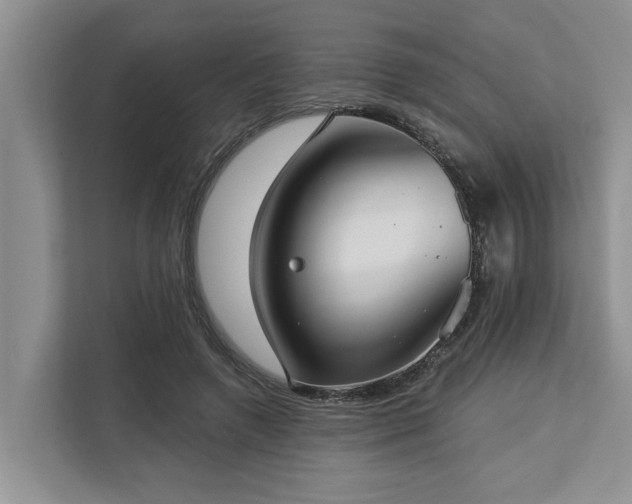 X0000113060546200908281136