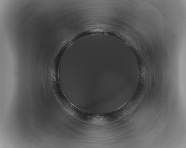 X0000113060547200908281136
